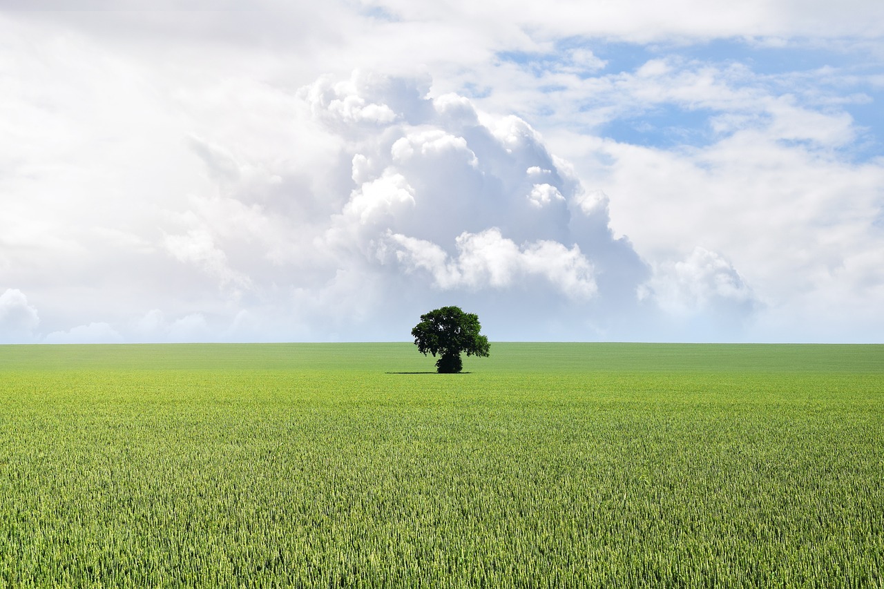 ce inseamna teren intravilan