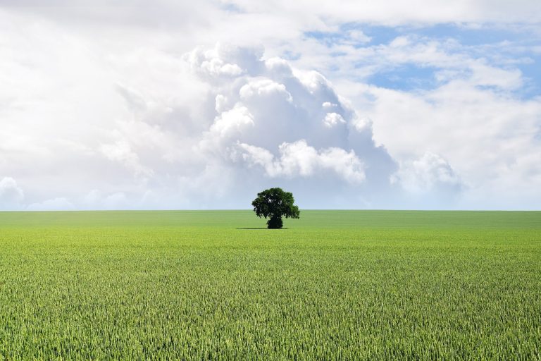 uzucapiune teren extravilan