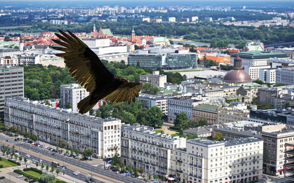 cati km de autostrada are sua