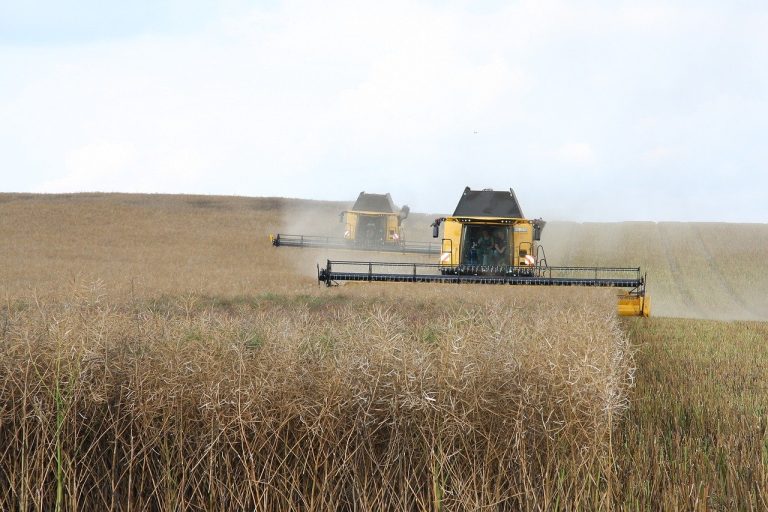 importanta agriculturii in economia mondiala
