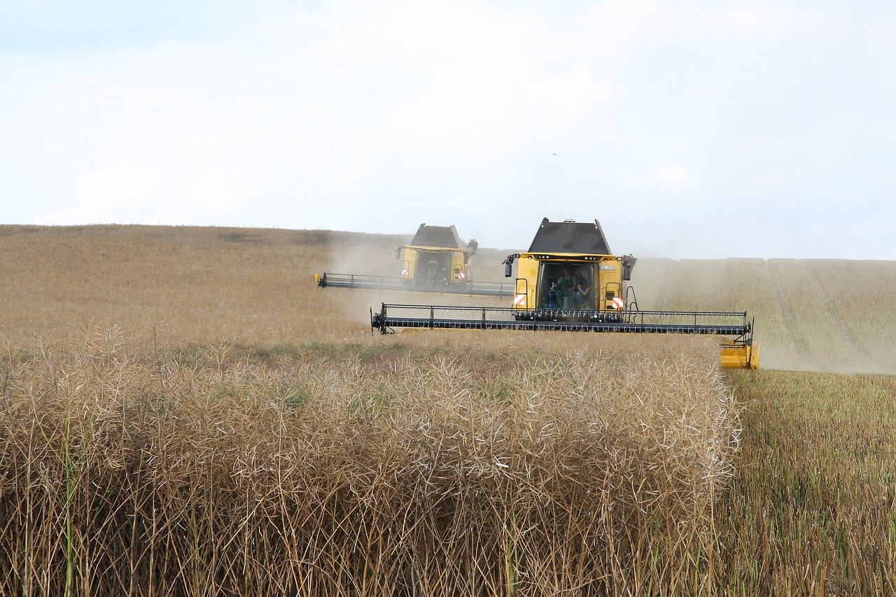 importanta agriculturii in economia mondiala