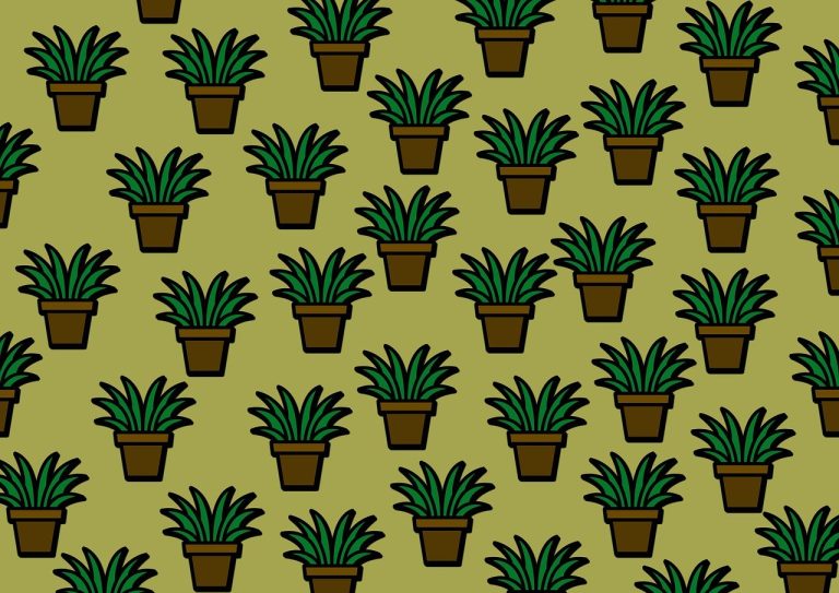 Cod Caen 7111 activitati de arhitectura