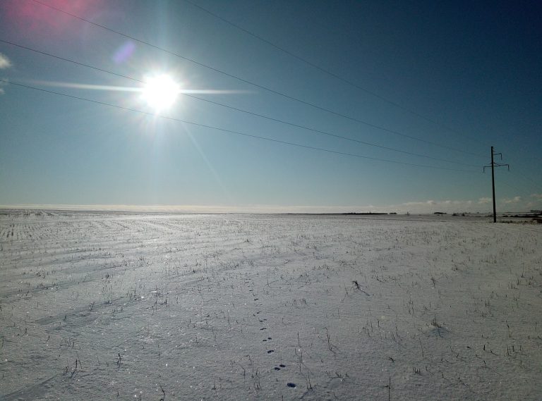 ce inseamna call center