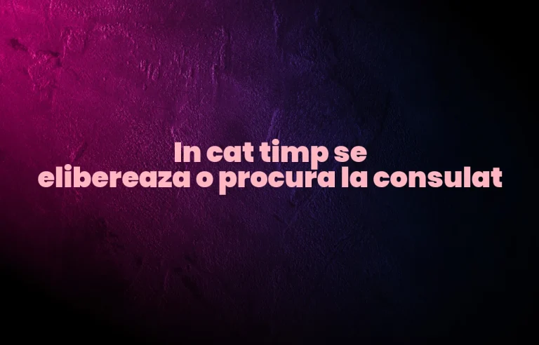 in cat timp se elibereaza o procura la consulat