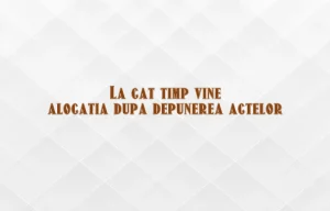 la cat timp vine alocatia dupa depunerea actelor