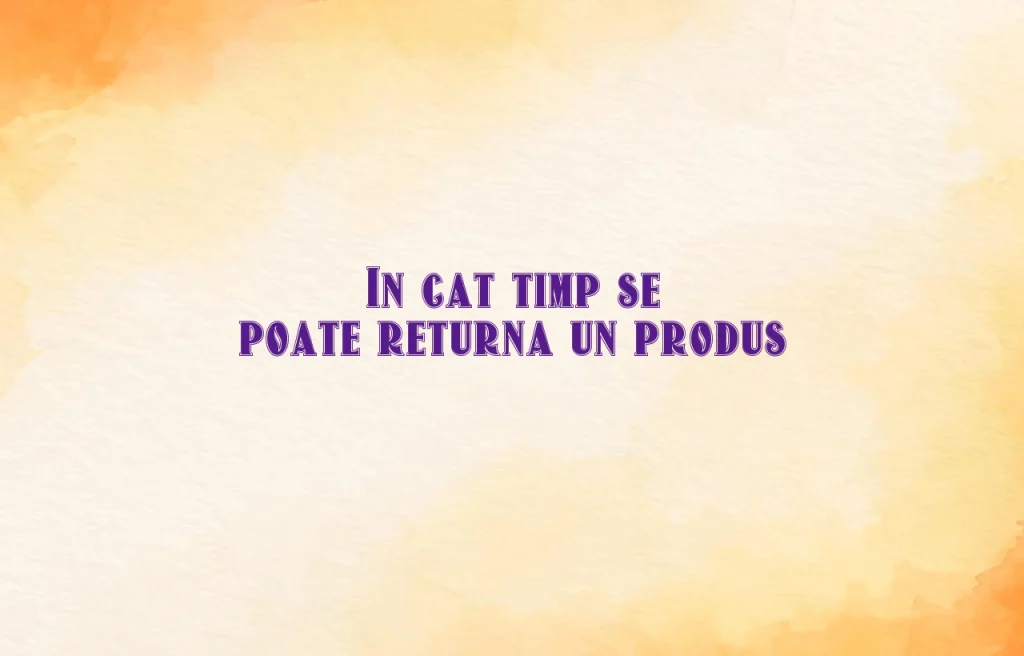 in cat timp se poate returna un produs