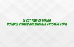 in cat timp se depune dosarul pentru indemnizatie crestere copil