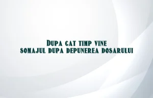 dupa cat timp vine somajul dupa depunerea dosarului