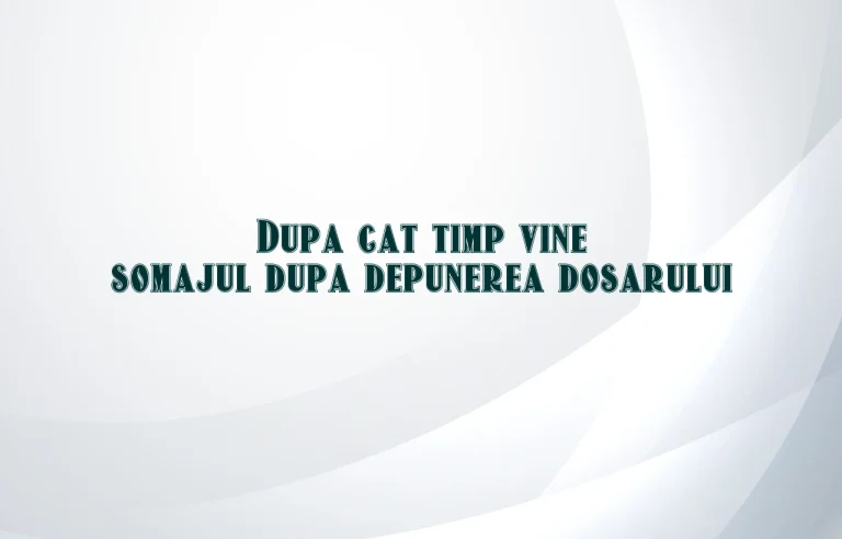 dupa cat timp vine somajul dupa depunerea dosarului