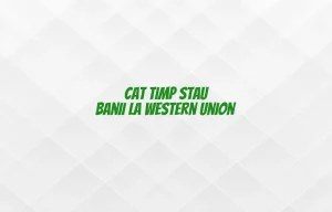 cat timp stau banii la western union