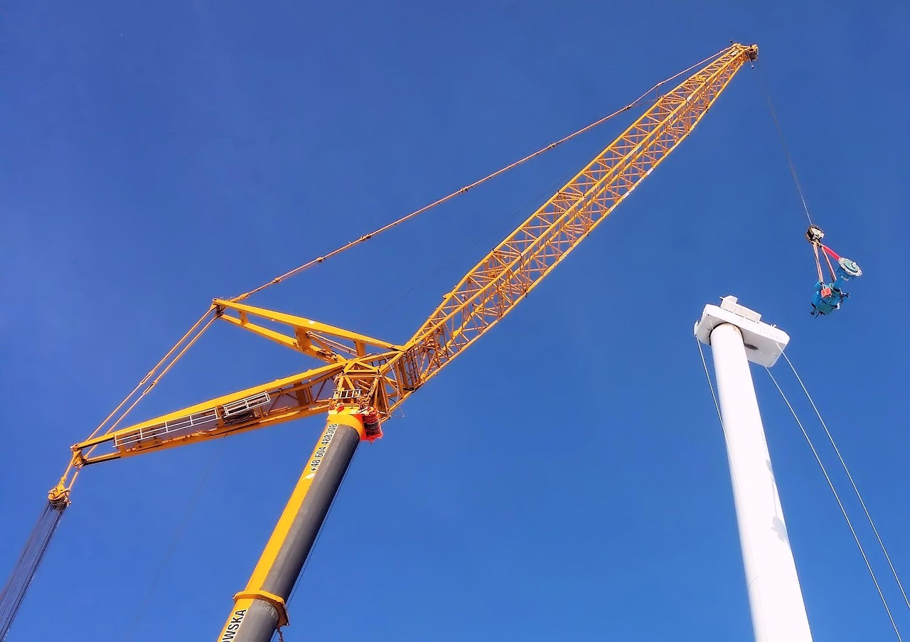 cat costa un kg de carne de vita