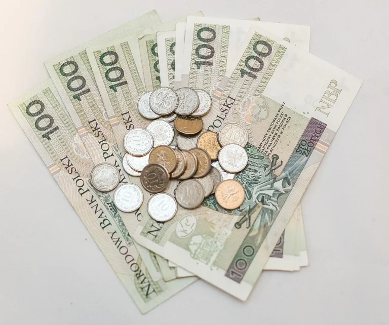 cat costa un designer de interior