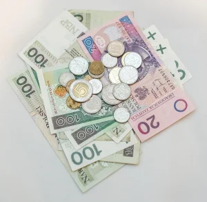 cat costa un euro in lei