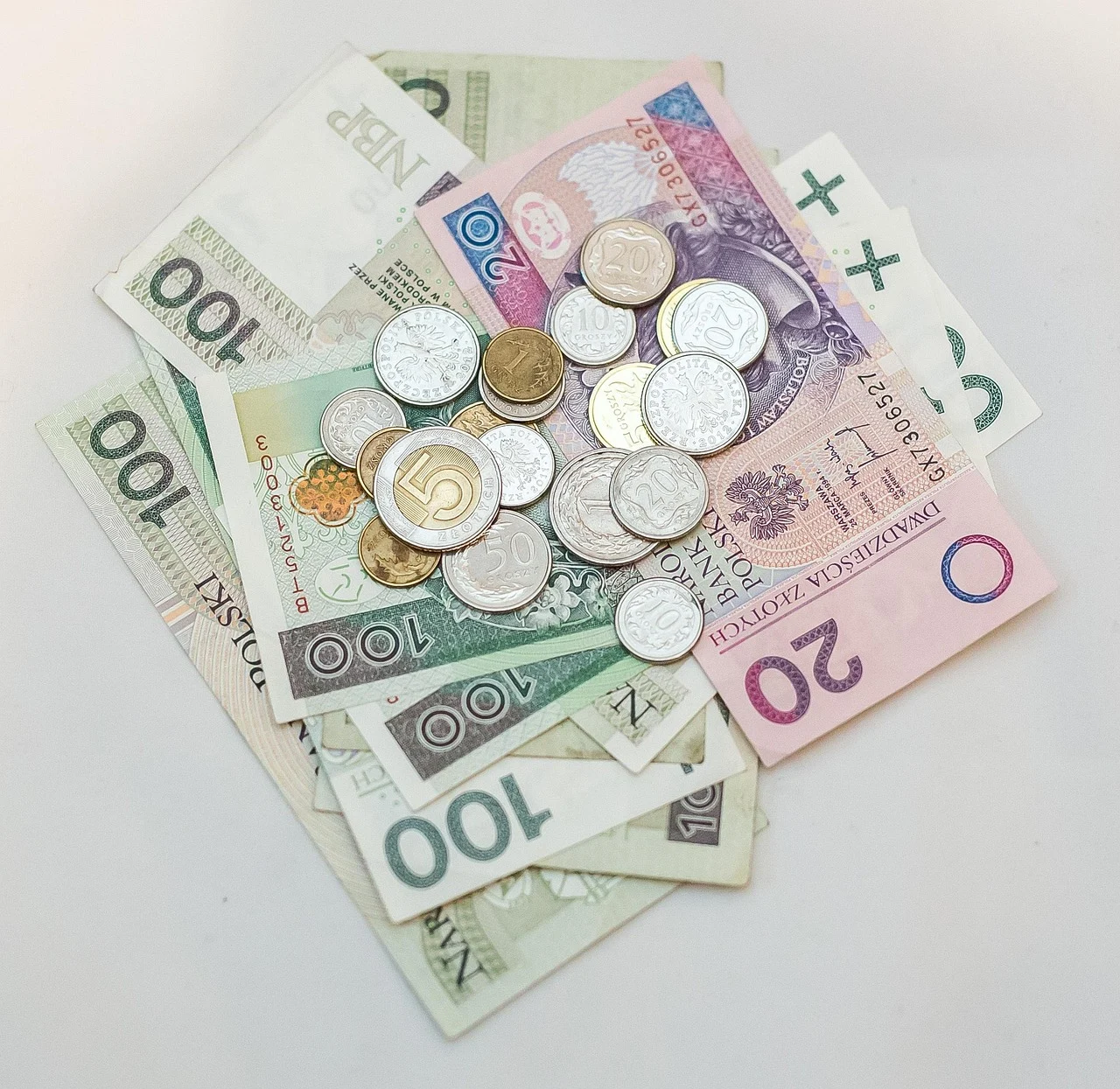 cat costa un euro in lei