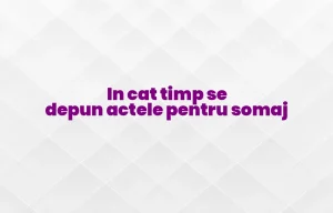 in cat timp se depun actele pentru somaj