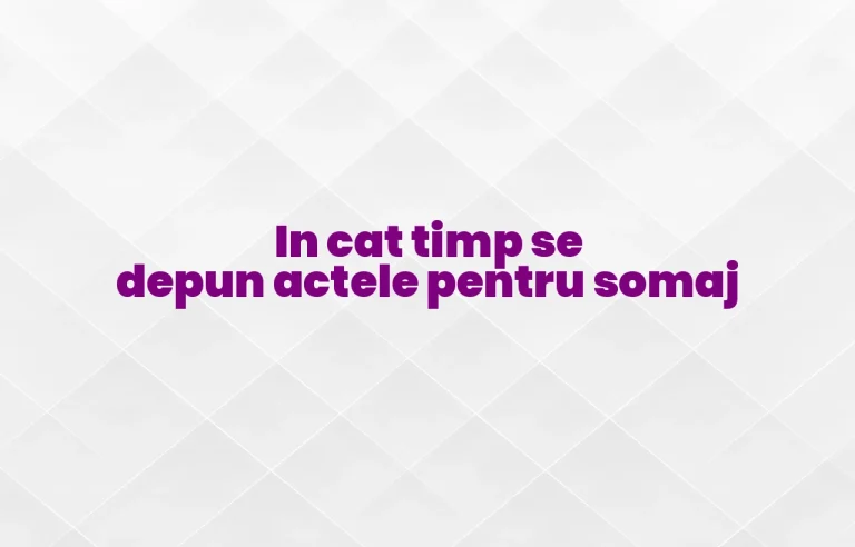 in cat timp se depun actele pentru somaj
