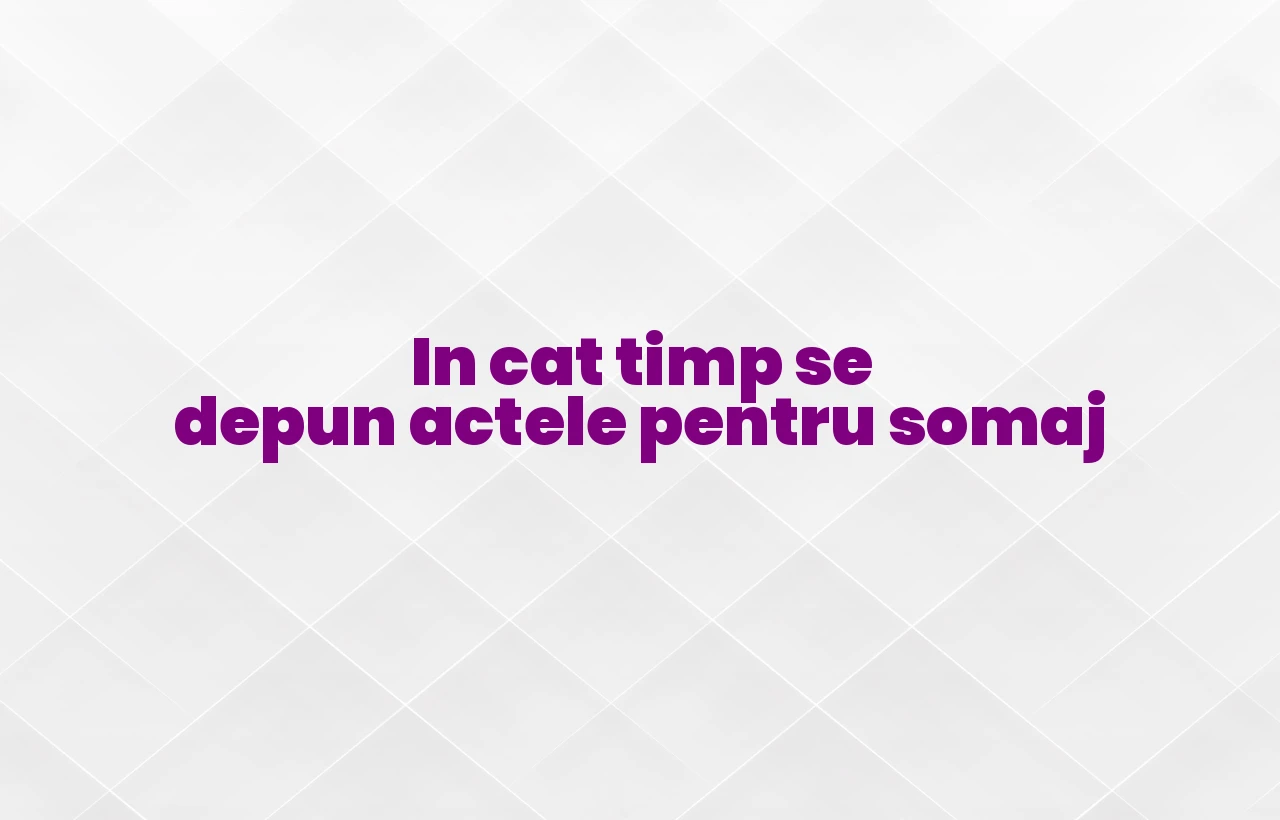 in cat timp se depun actele pentru somaj