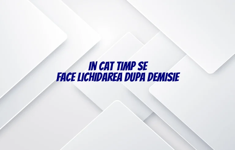 in cat timp se face lichidarea dupa demisie