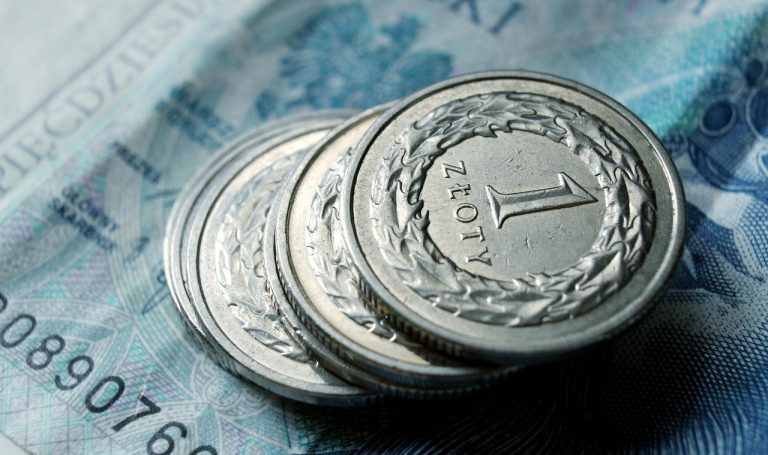 moneda poloneza