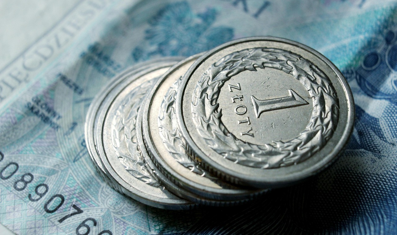 moneda poloneza