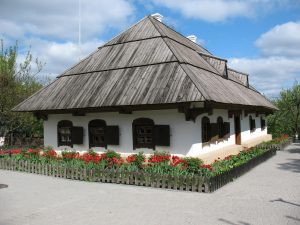 moneda ucraina